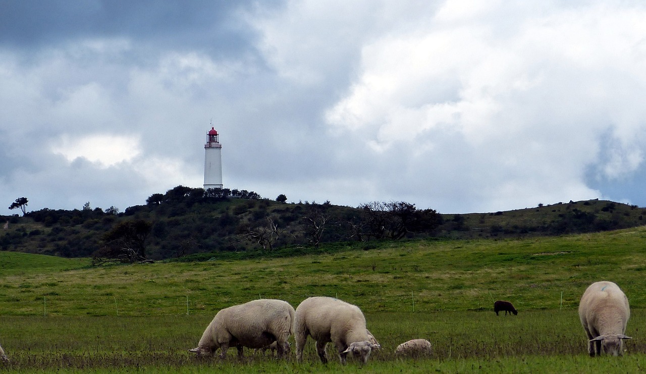 Švyturys, Čiuožykla, Hiddensee, Švyturys, Jūrų, Orientyras, Nemokamos Nuotraukos,  Nemokama Licenzija