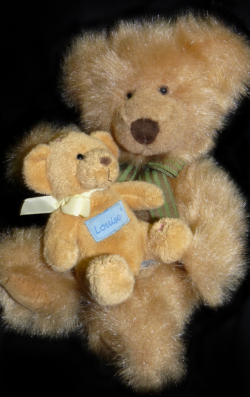 Neša,  Teddies,  Mielas,  Žaislai,  Vaikystė, Nemokamos Nuotraukos,  Nemokama Licenzija