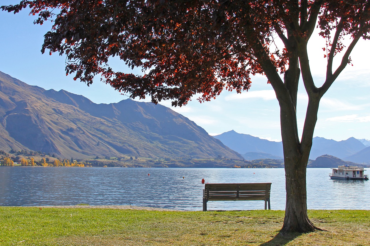 Gražus, Ežeras, Mėlynas, Enchanting, Grožis, Ežeras Wanaka, Medis, Kalnas, Wanaka, Naujoji Zelandija
