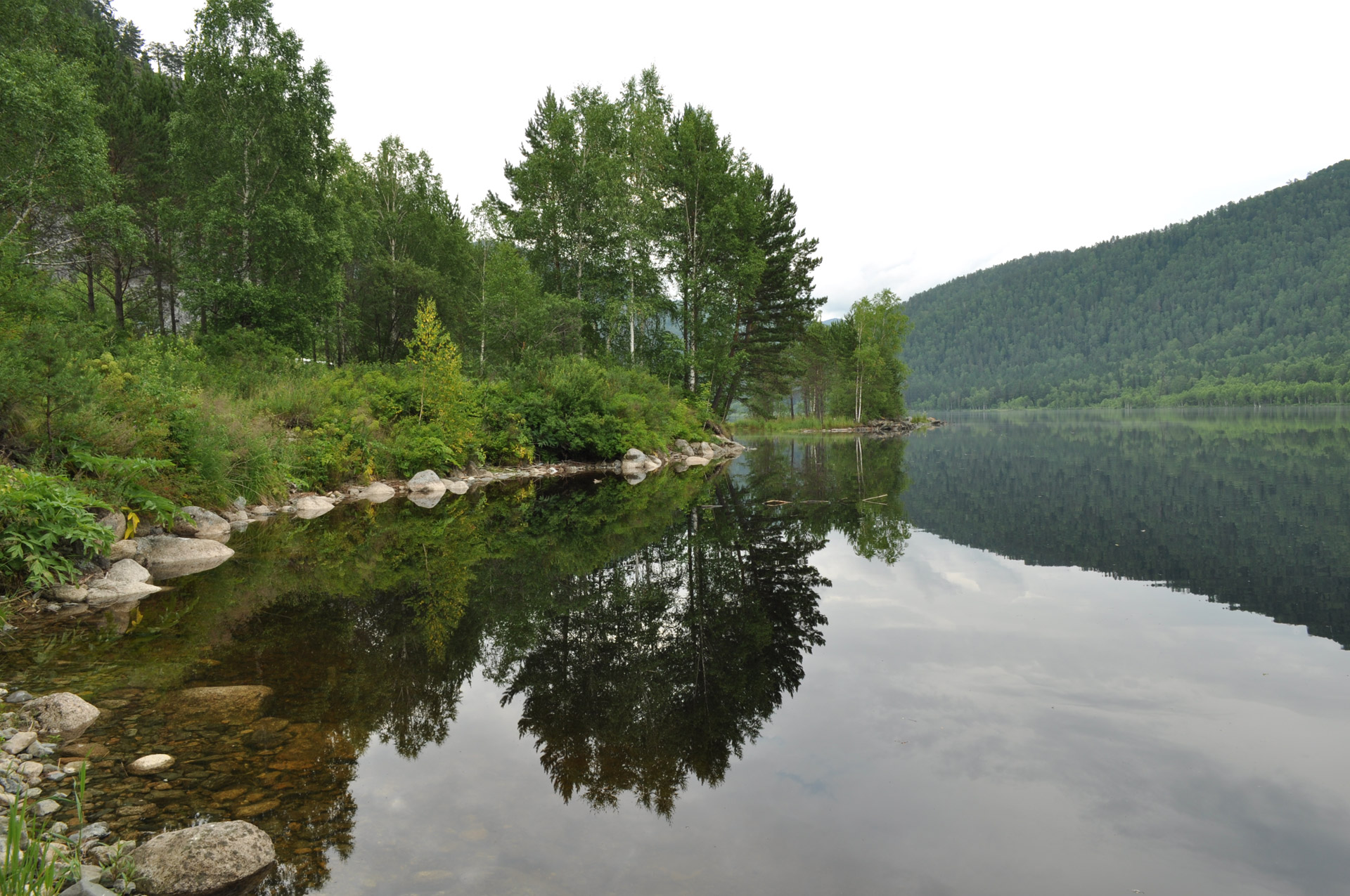 Upė,  Kraštovaizdis,  Atspindys,  Miškas,  Medžiai,  Akmenys,  Žolė,  Vaizdingas,  Krantas,  Graži Upė