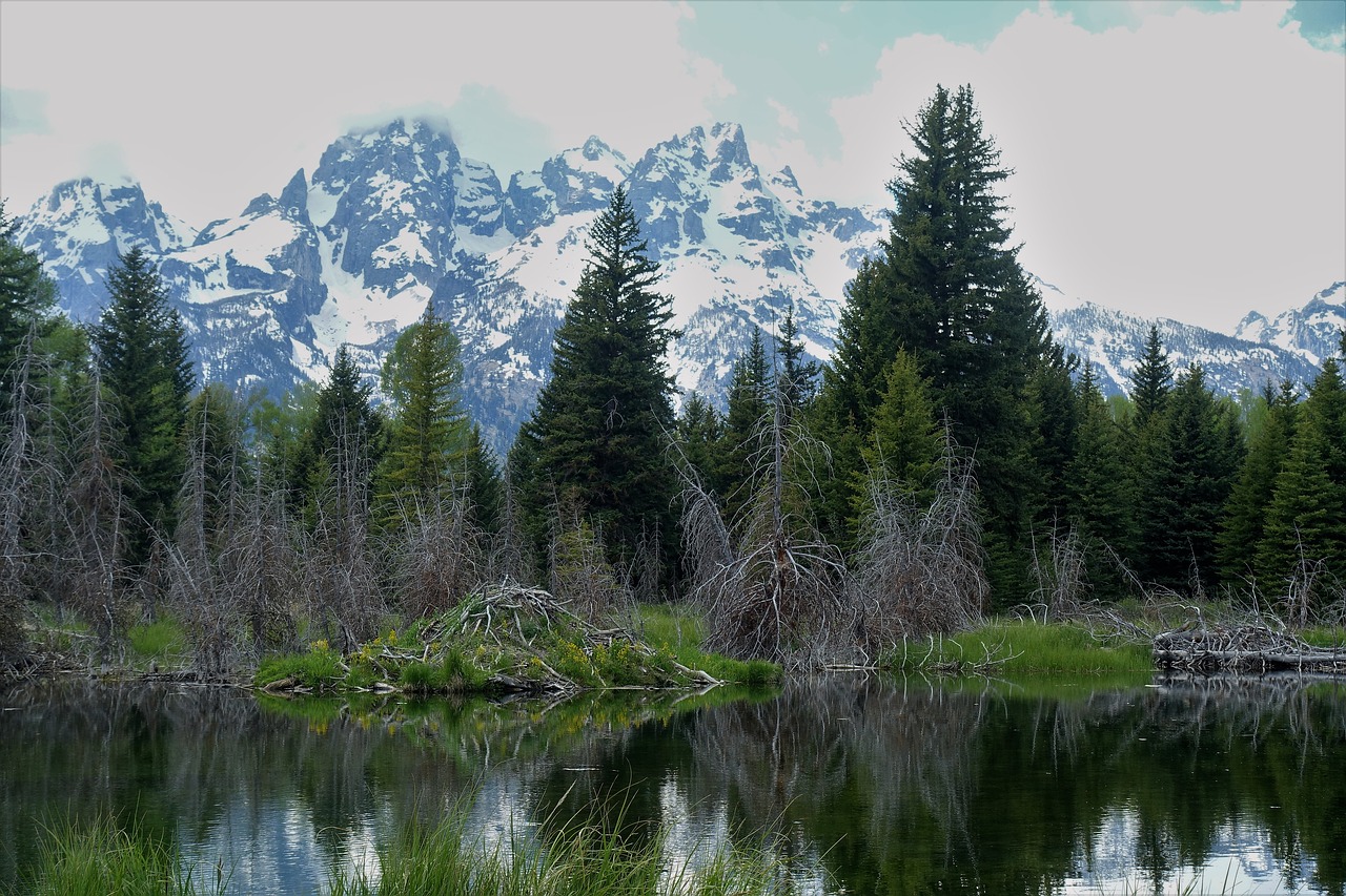 Bebro Lodge,  Žygiai,  Tetons,  Vajomingas,  Kalnai,  Ežeras,  Medžiai, Nemokamos Nuotraukos,  Nemokama Licenzija