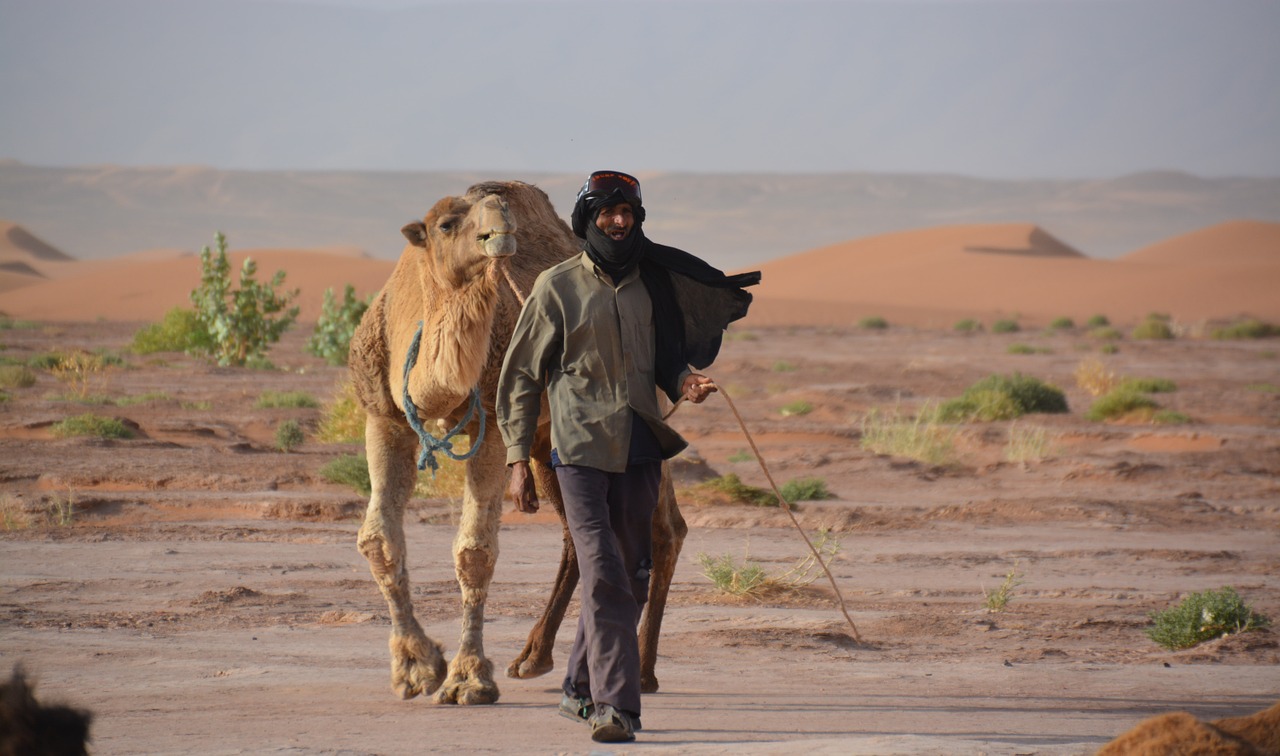 Beduinas, Dromedary, Smėlis, Nemokamos Nuotraukos,  Nemokama Licenzija