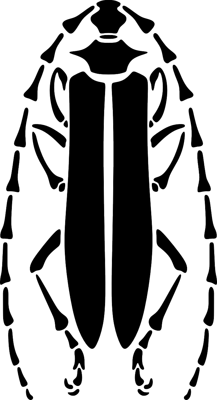 Vabalas, Longhorn, Modelis, Trafaretas, Nemokama Vektorinė Grafika, Nemokamos Nuotraukos,  Nemokama Licenzija