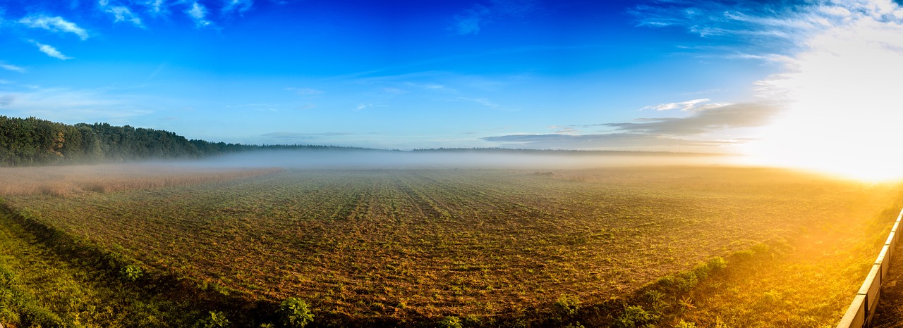 Bellheim, Saulėtekis, Panorama, Rūkas, Aušra, Kraštovaizdis, Rytas, Morgenstimmung, Tolimas Vaizdas, Saulės Šviesa