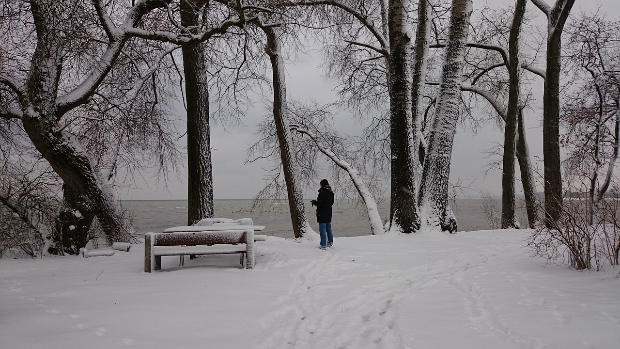 Stendas, Žiema, Sniegas, Parkas Žiemą, Ežeras, Bodensee, Pilka, Parkas, Papludimys, Nemokamos Nuotraukos