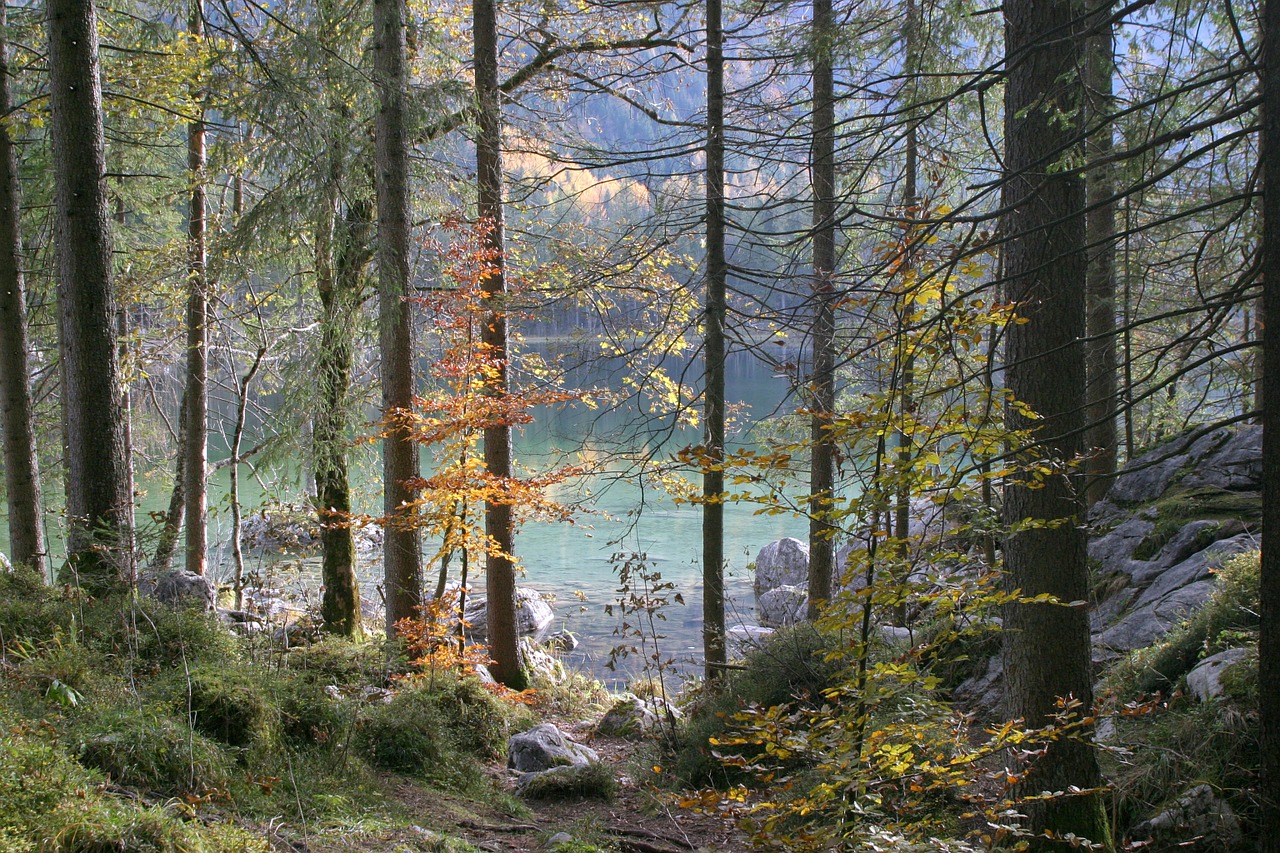 Berchtesgaden, Ramsau, Kardu, Bavarija, Viršutinė Bavarija, Ežeras, Berchtesgadeno Nacionalinis Parkas, Vanduo, Nuotaika, Panorama