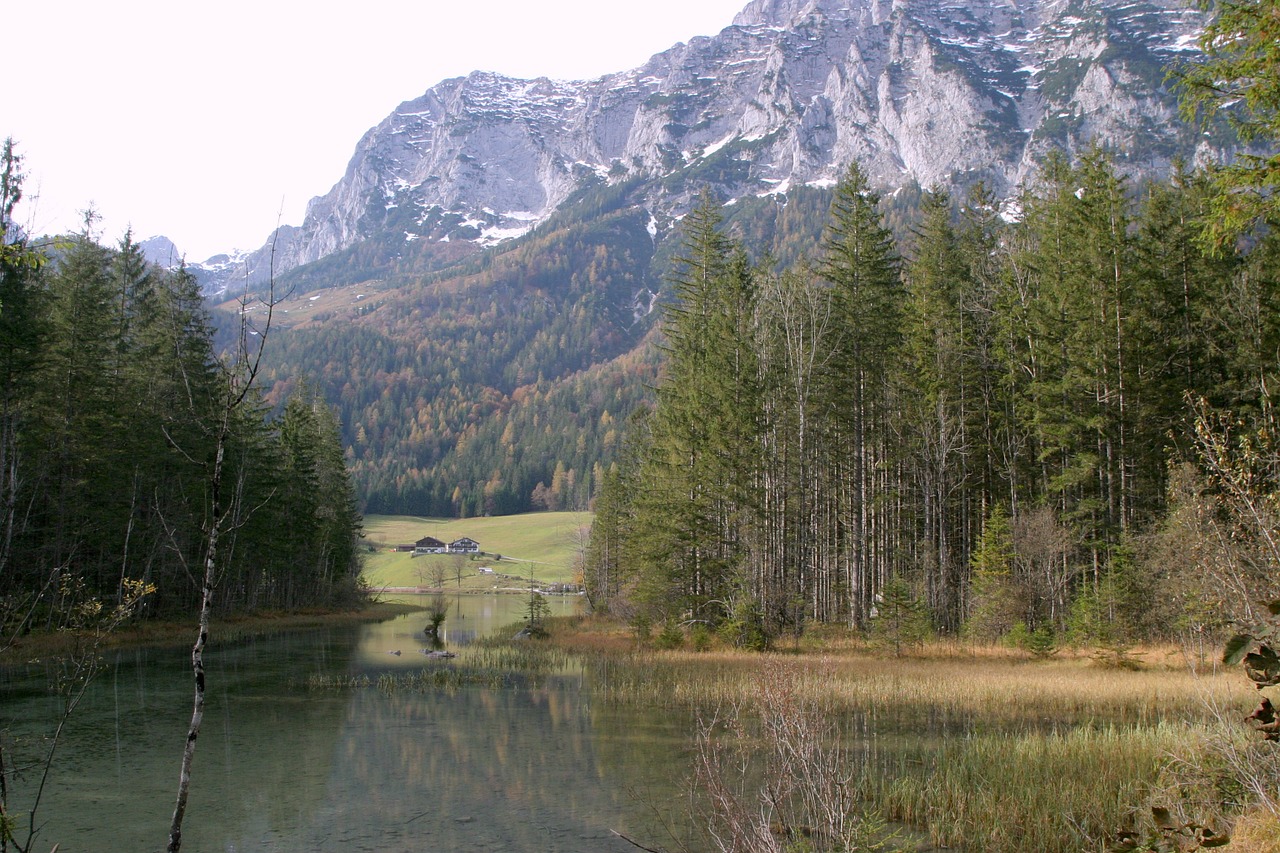 Berchtesgaden, Ramsau, Kardu, Bavarija, Viršutinė Bavarija, Ežeras, Berchtesgadeno Nacionalinis Parkas, Vanduo, Nuotaika, Panorama