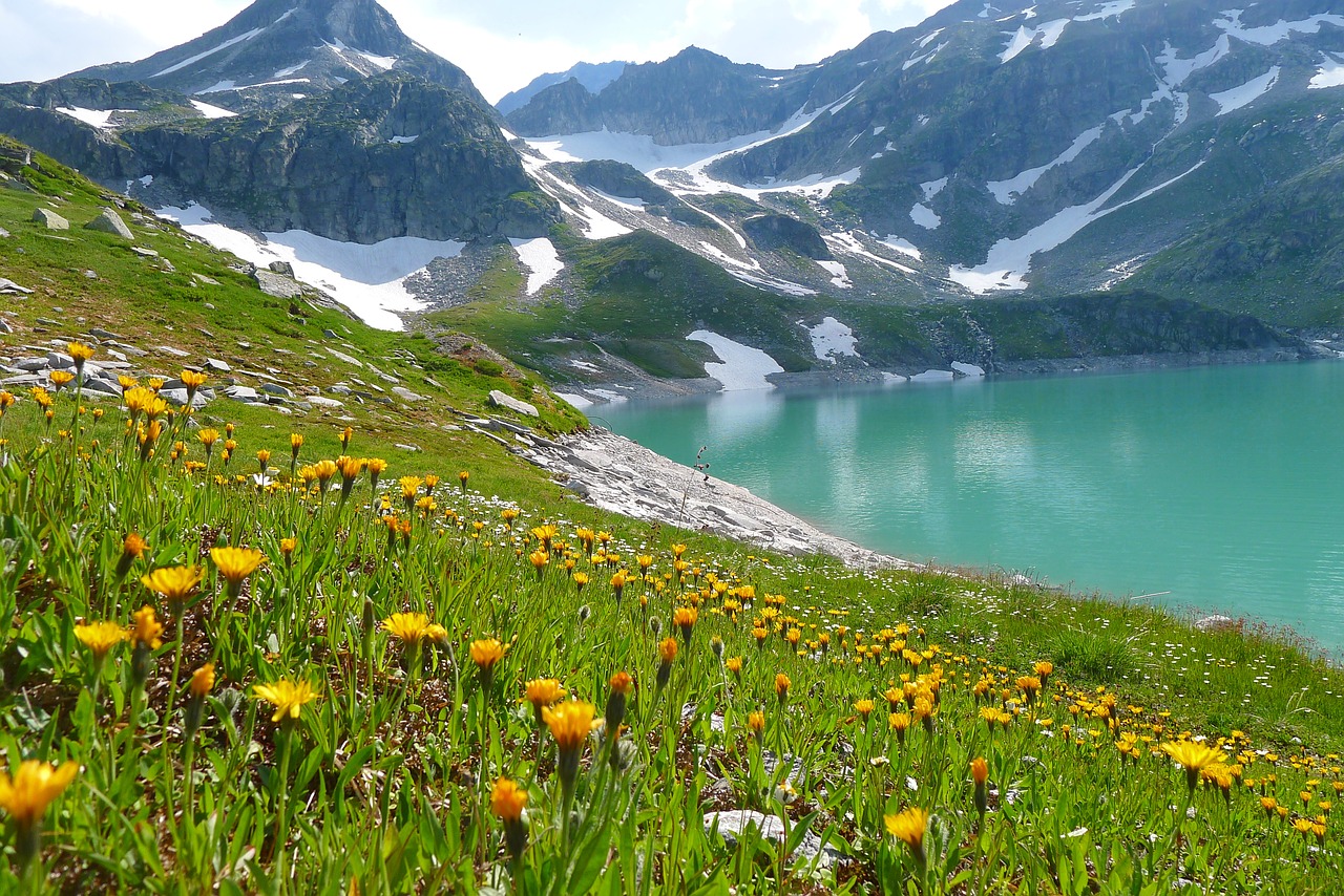 Bergsee, Weißsee, Salzburg-Austria, Alpių Kraštovaizdis, Gėlių Pieva, Nemokamos Nuotraukos,  Nemokama Licenzija