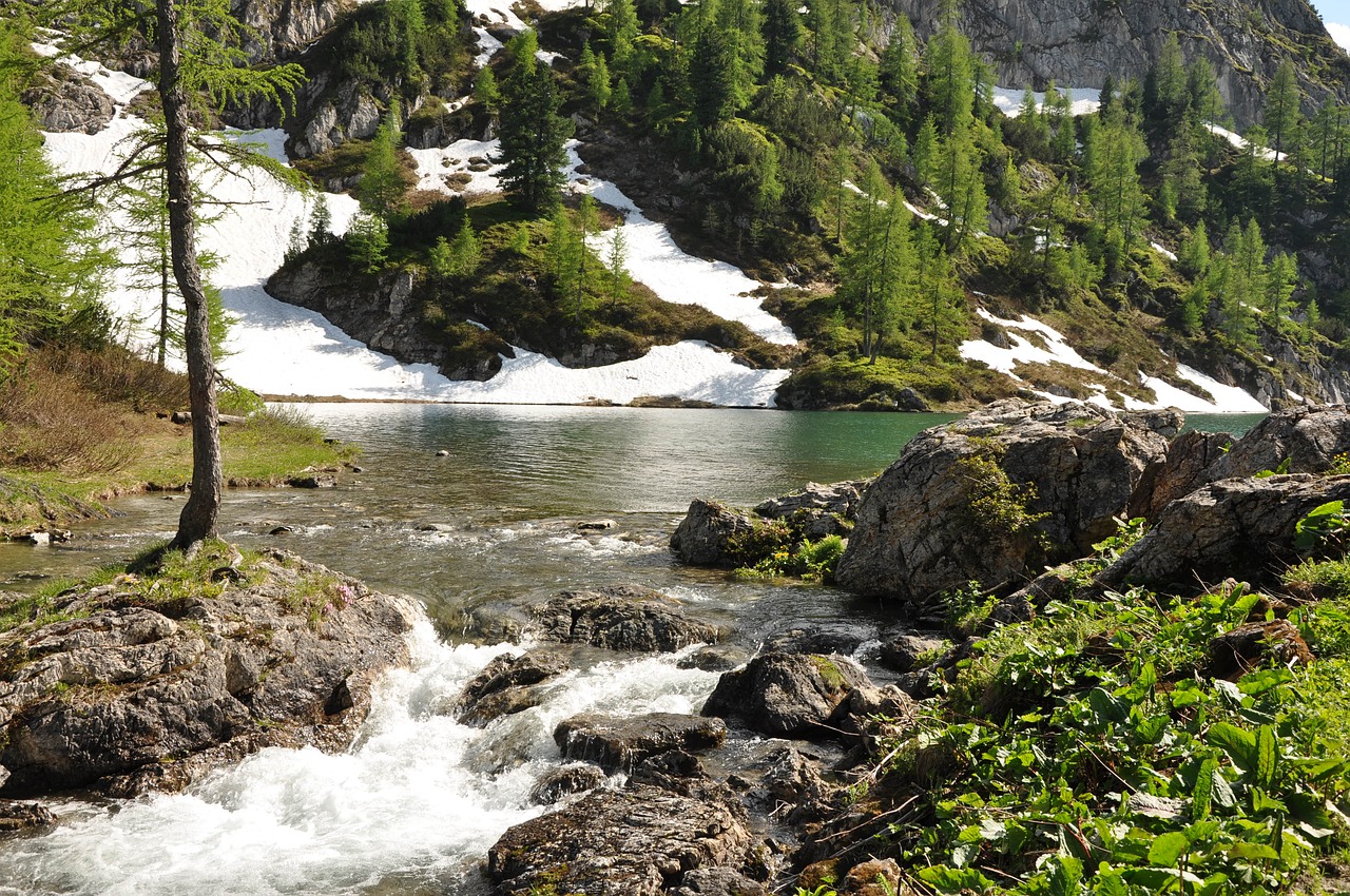 Bergsee, Bachas, Tappenkarsee, Vanduo, Kraštovaizdis, Idiliškas, Žygiai, Kalnai, Austria, Nemokamos Nuotraukos