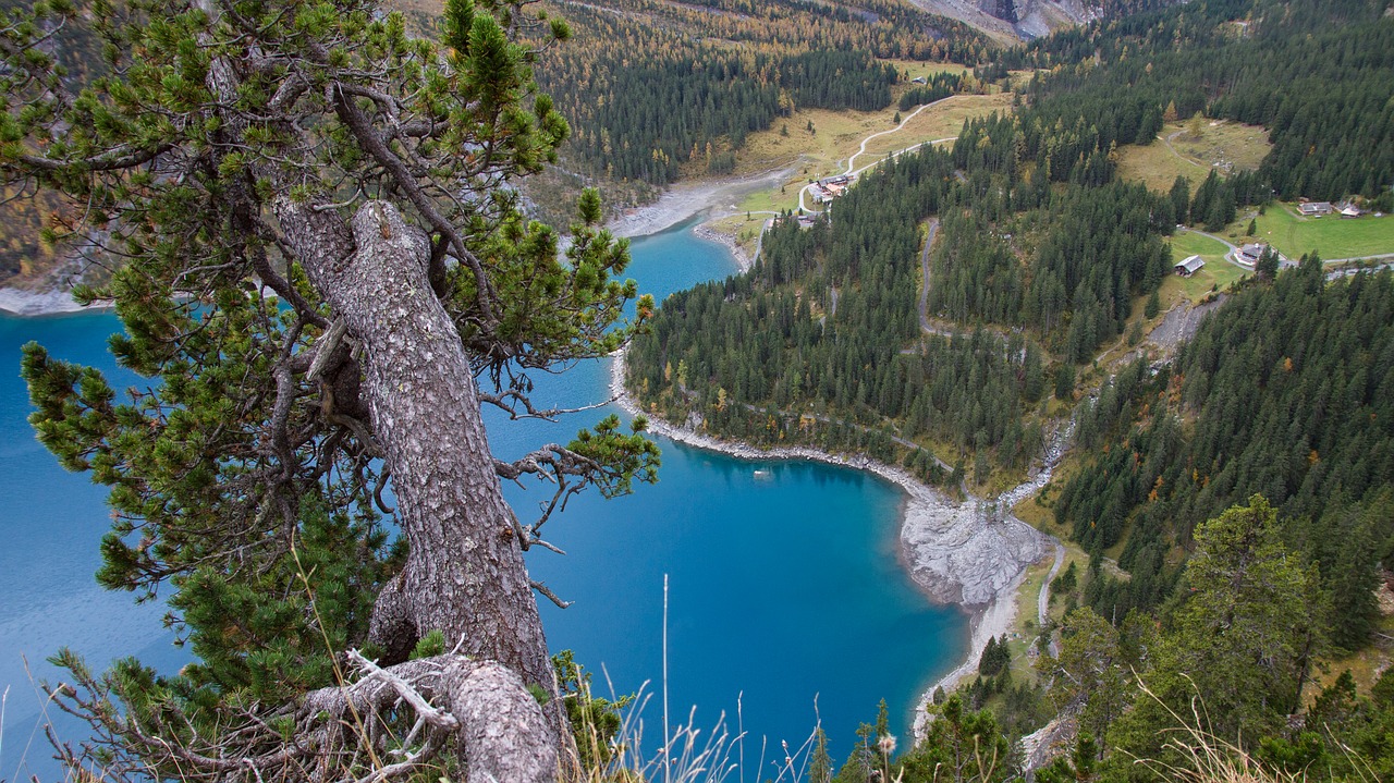 Bergsee, Medis, Ežeras Oeschinen, Šveicarija, Nemokamos Nuotraukos,  Nemokama Licenzija