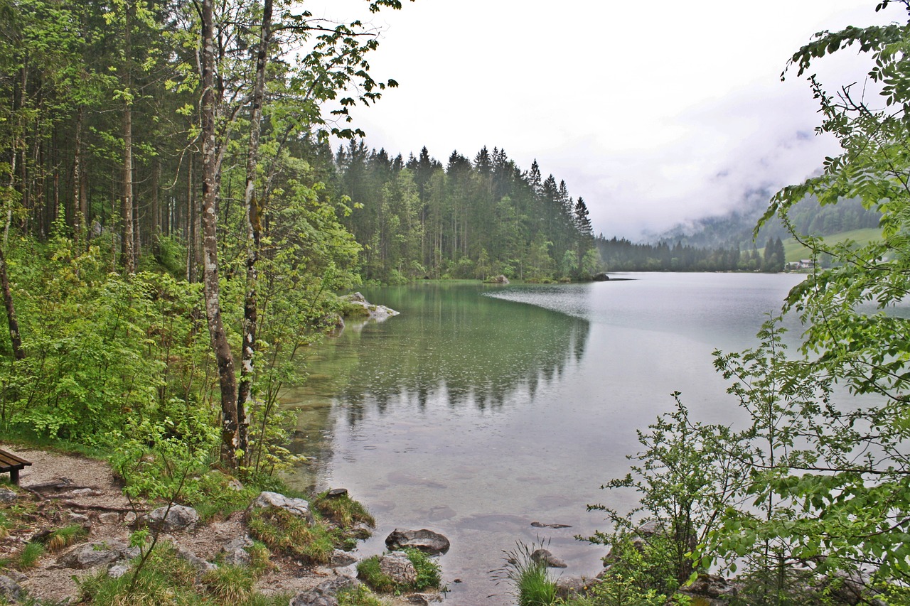 Bergsee, Mistinis, Gotika, Bayou, Pelkė, Tolkien, Melancholiškas, Badesee, Haunting, Ruhpolding