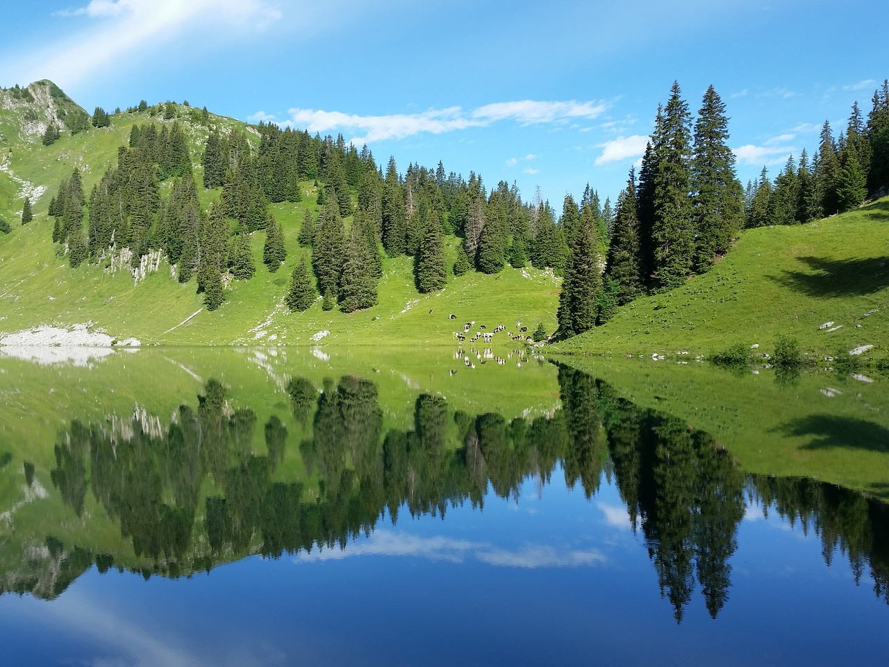 Bergsee, Kalnai, Kraštovaizdis, Šveicarija, Gamta, Alpių, Ežeras, Toks Sklandus Kaip Stiklas, Veidrodis, Atspindys