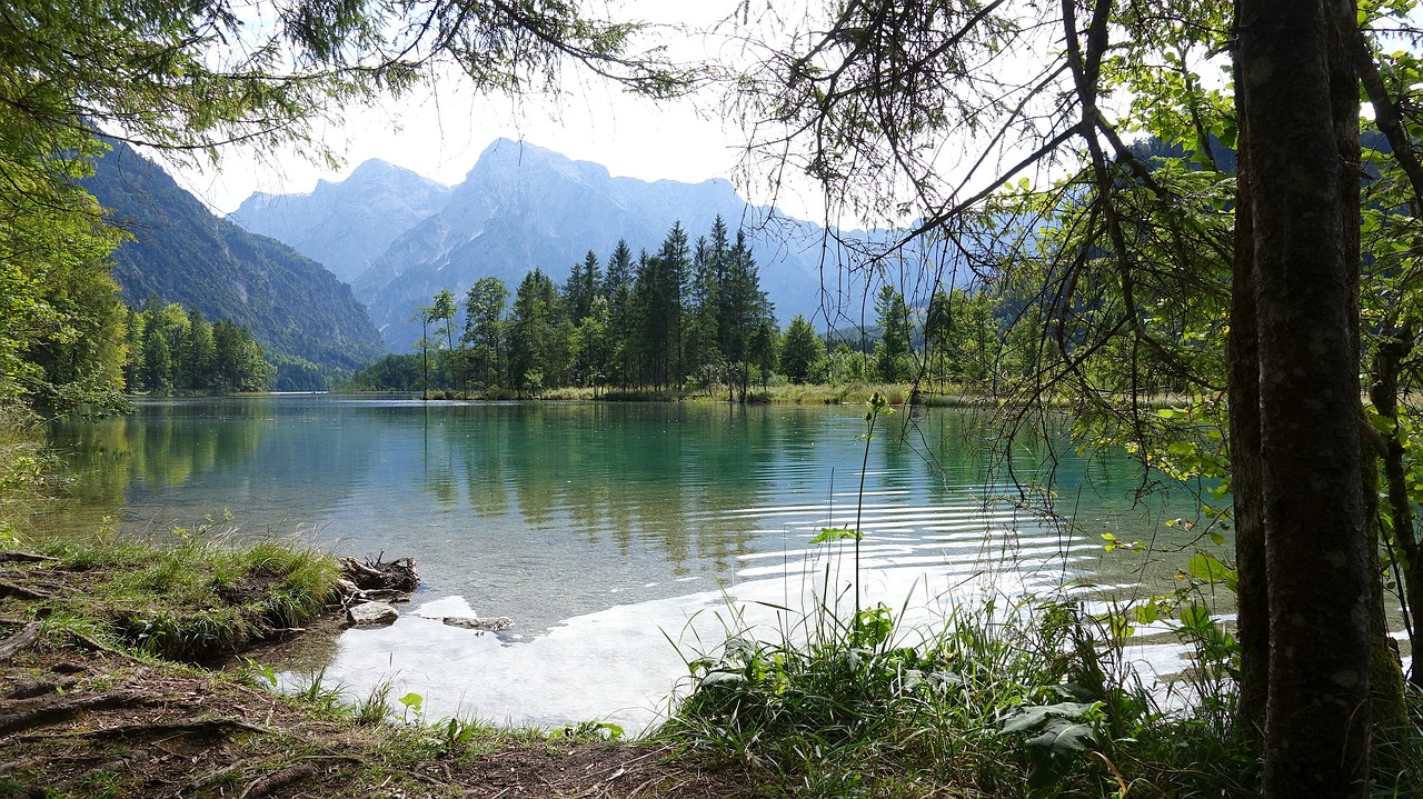 Bergsee, Almsee, Austria, Nuotaika, Nemokamos Nuotraukos,  Nemokama Licenzija