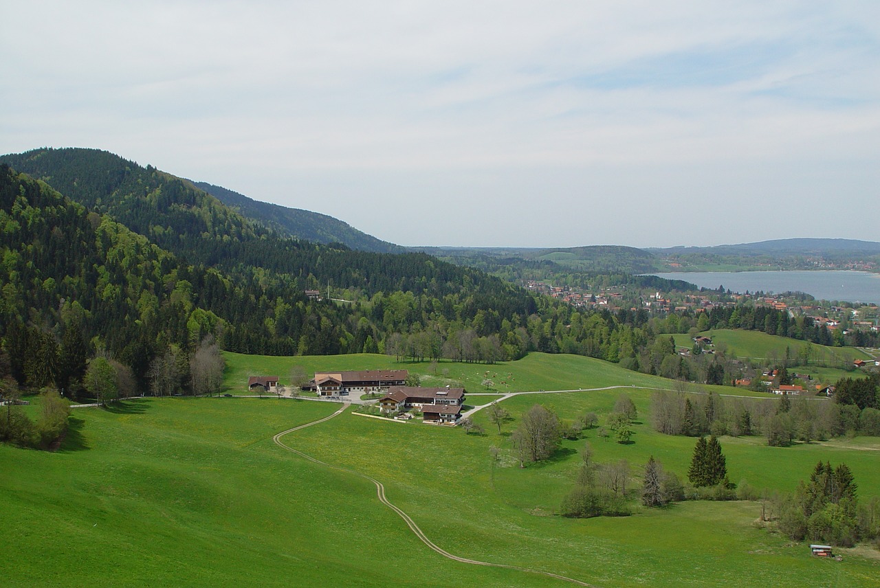 Bergsee, Vasara, Kalnas, Viršutinė Bavarija, Šventė, Kalnų Pieva, Žalias, Gamta, Pieva, Tegernsee