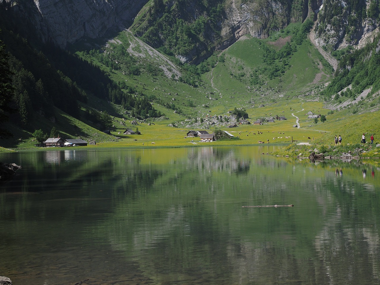 Bergsee, Seealpsee, Kalnai, Alpių, Nemokamos Nuotraukos,  Nemokama Licenzija