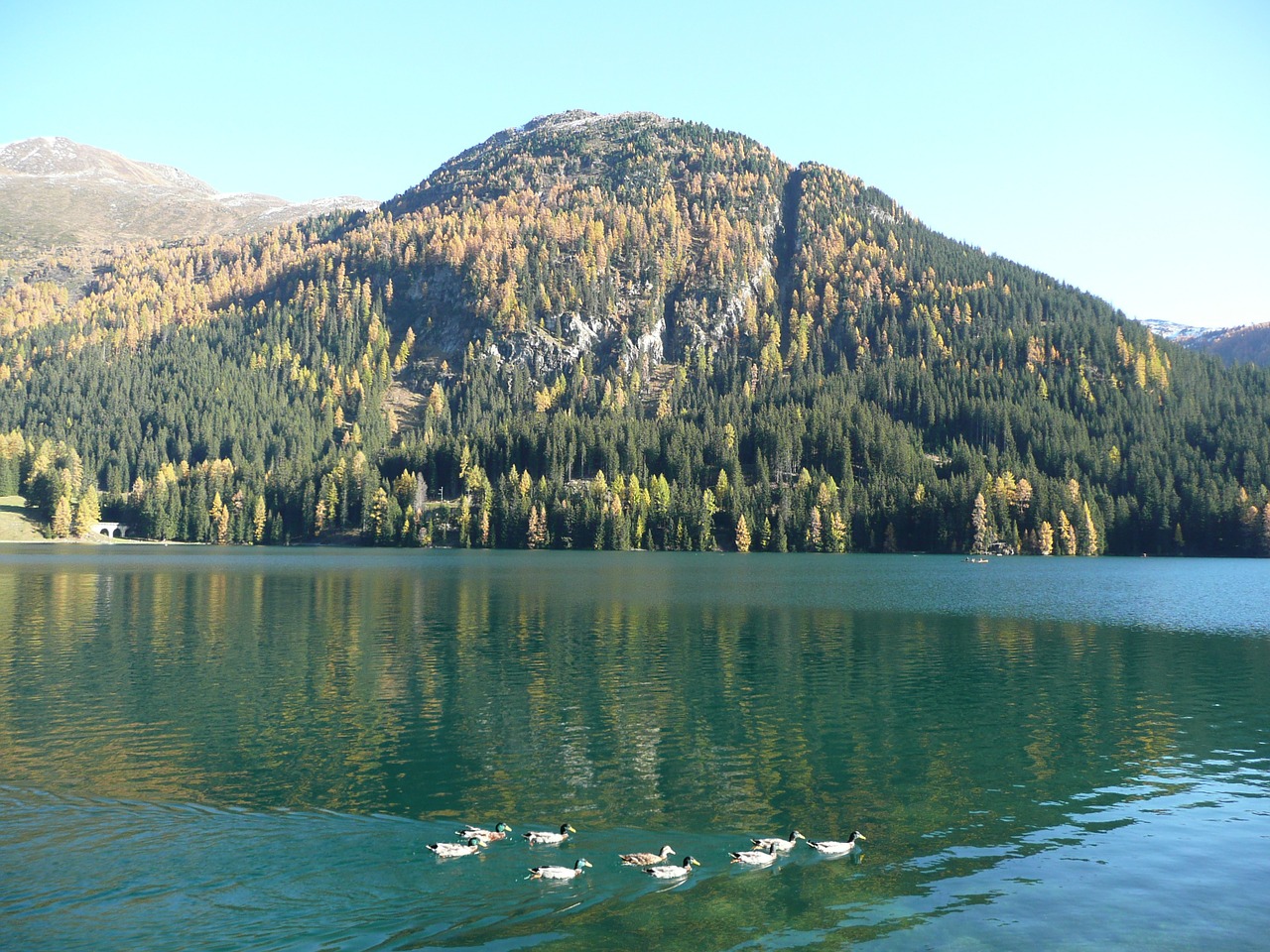 Bergsee, Antis, Ežeras, Nemokamos Nuotraukos,  Nemokama Licenzija