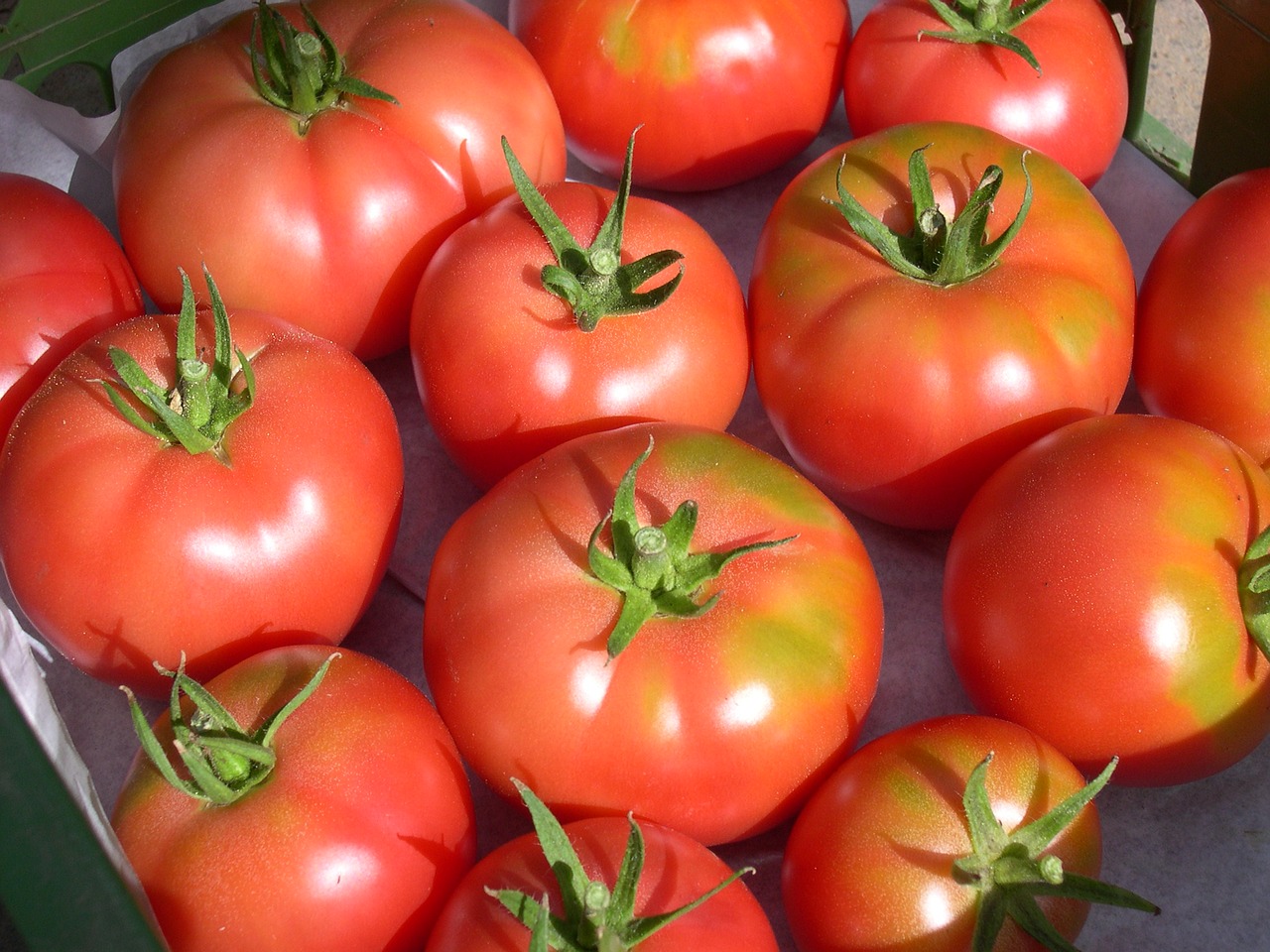 Berner Rosen, Pomidorai, Pomidoras, Sėklų Festivalis, Bio, Sveika Dieta, Raudona, Daržovės, Valgyti, Maistas