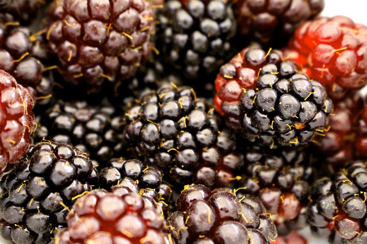 Uogos, Boysenberry, Gervuogė, Maistas, Vaisiai, Šviežias, Skanus, Saldus, Desertas, Sveikas