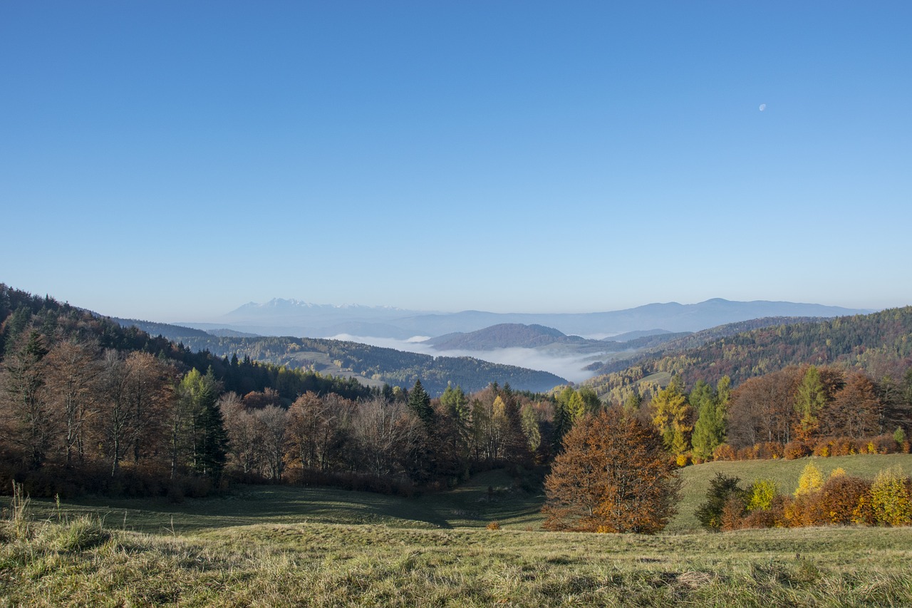 Beskid Sądecki, Rudens Auksas, Rudenį Kalnuose, Beskidai, Mėlynas Dangus, Kalnų Peizažas, Gamta, Kalnai, Klajojantis, Peizažas