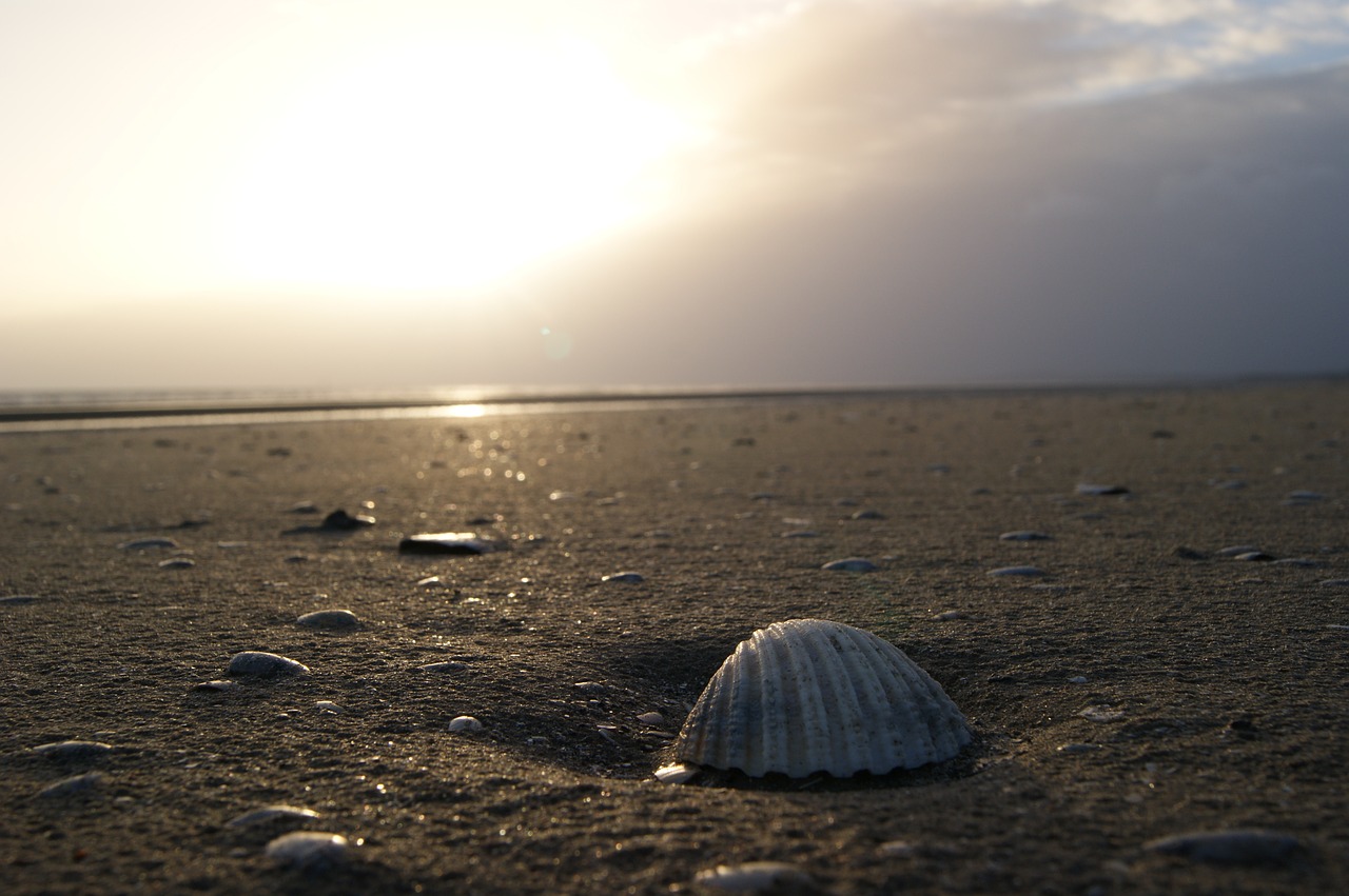 Bettystown, Kriauklės, Meath, Papludimys, Smėlis, Jūra, Airija, Horizontas, Nemokamos Nuotraukos,  Nemokama Licenzija