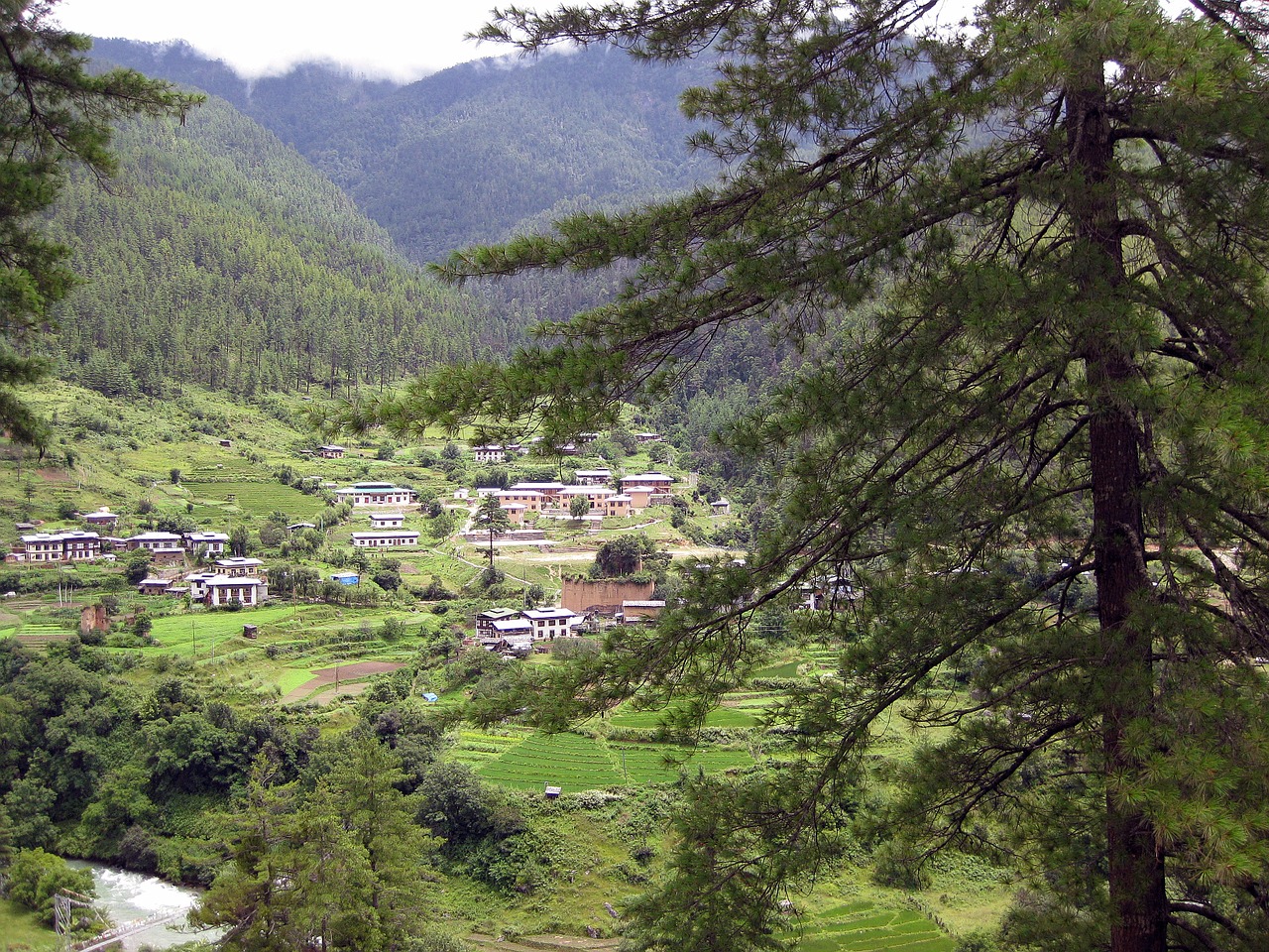 Butanas, Kalnai, Turizmas, Gamta, Bhutanese, Kalvos, Himalaja, Kelionė, Nemokamos Nuotraukos,  Nemokama Licenzija