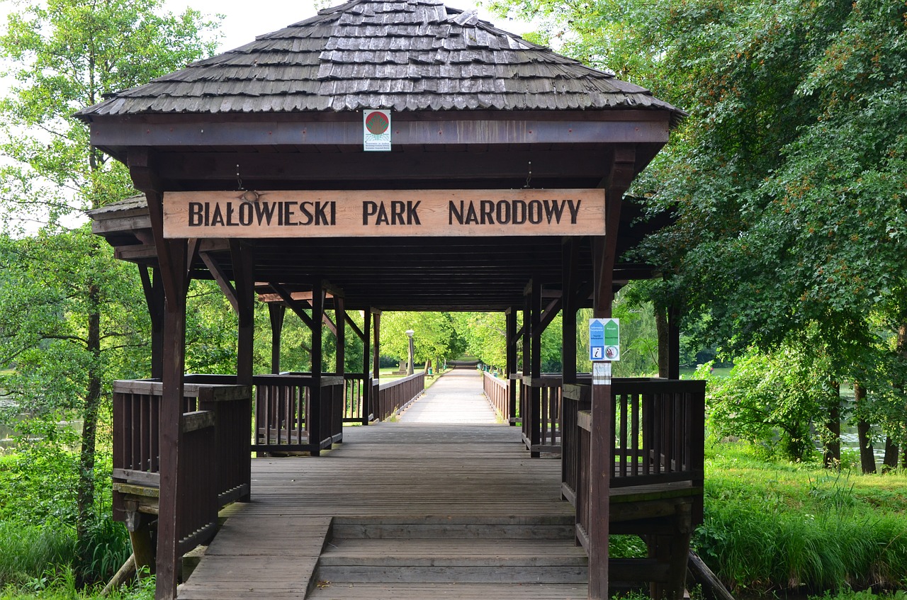 Białowieża, Nacionalinis Parkas, Įėjimas, Nemokamos Nuotraukos,  Nemokama Licenzija