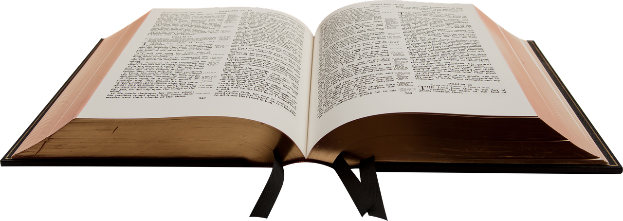 Biblija, Knyga, Krikščionis, Šventas, Skaitymas, Žinios, Studijuoti, Storas, Nemokamos Nuotraukos,  Nemokama Licenzija