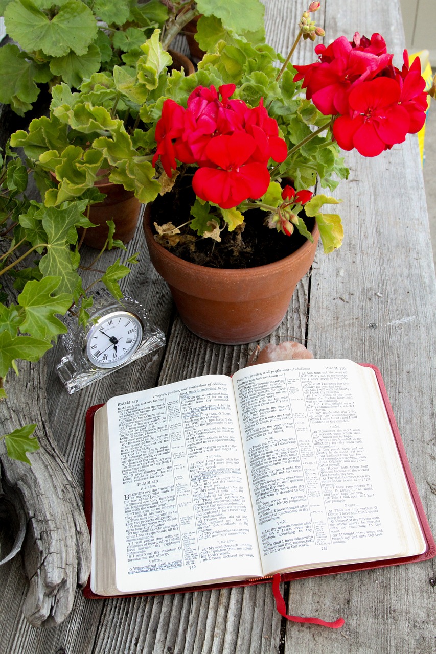 Biblija, Atverskite Knygą, Atvira Biblija, Religija, Krikščionis, Mokymasis, Raštas, Raudona Geranija, Laikas, Atsidavimas