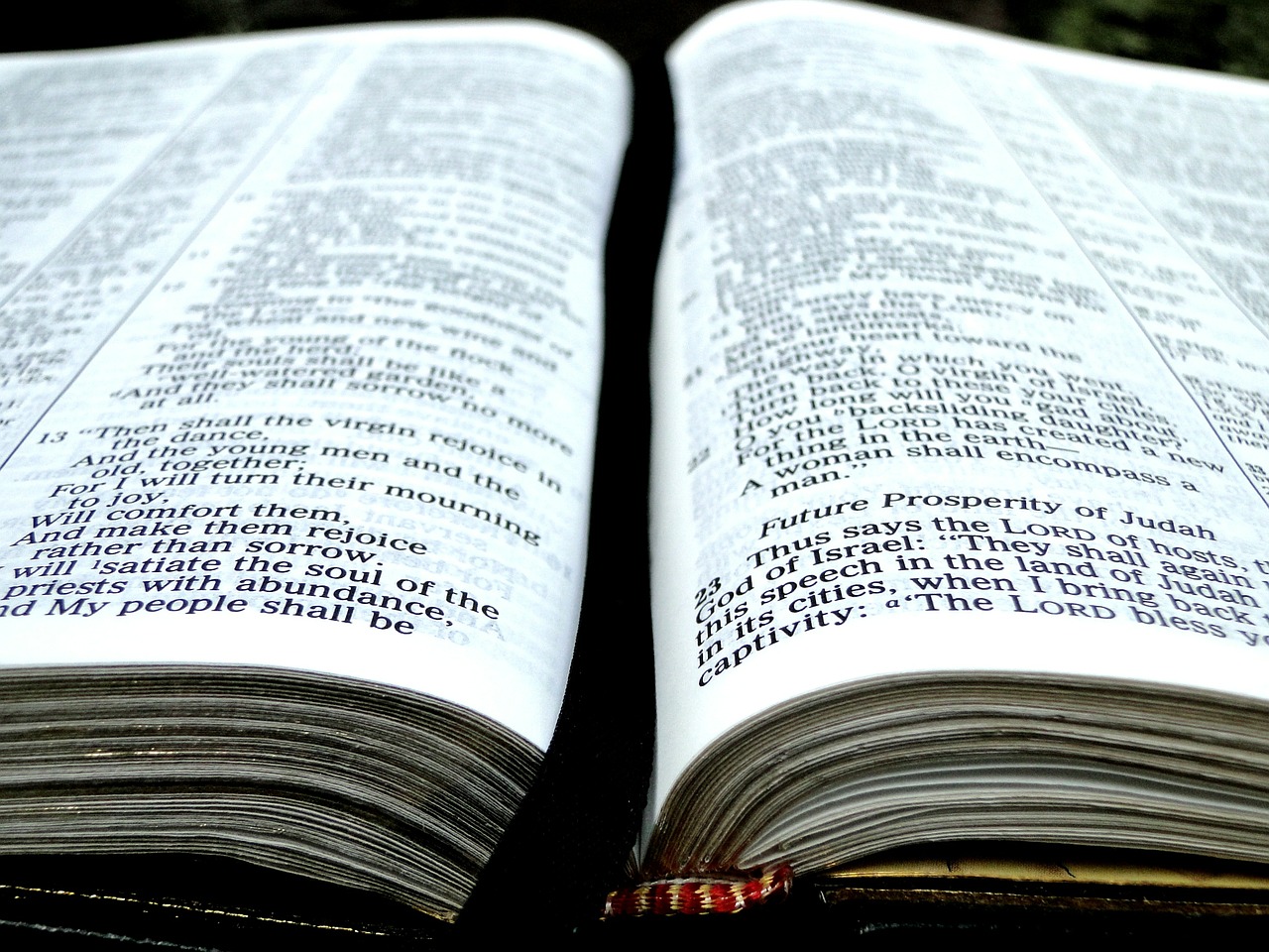 Biblija, Knyga, Atviras, Puslapiai, Eilėraštis, Raštas, Krikščionybė, Tikėjimas, Krikščionis, Skaitymas