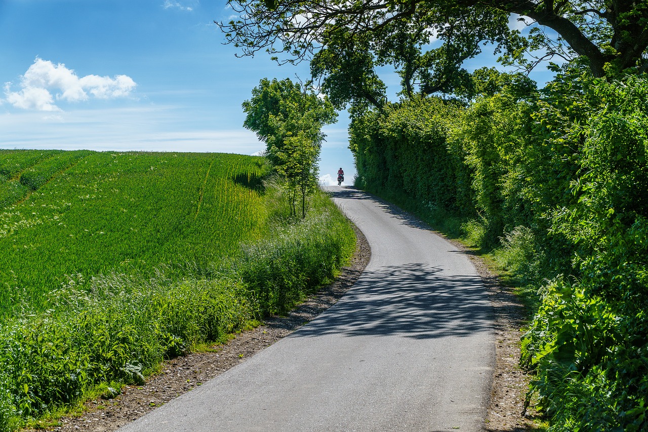 Dviračių Kelionė, Toli, Baltijos Jūra, Holsteino Šveicarija, Kraštovaizdis, Gamta, Šventė, Kranto, Augalas, Nemokamos Nuotraukos