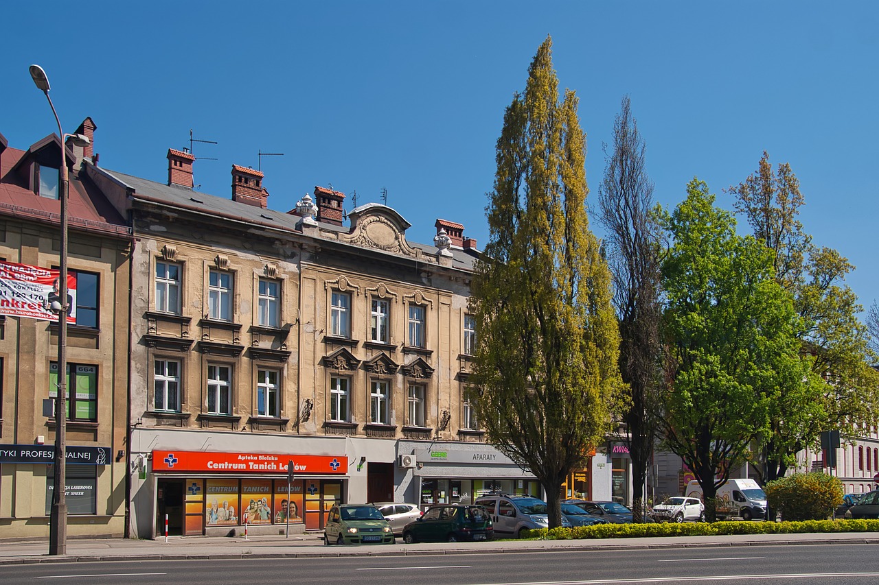 Bielsko-Baltos Spalvos,  Belsko,  Lenkija,  Architektūra,  Gatvė,  Miestas,  Statyba,  Keliauti,  Metai,  Medis