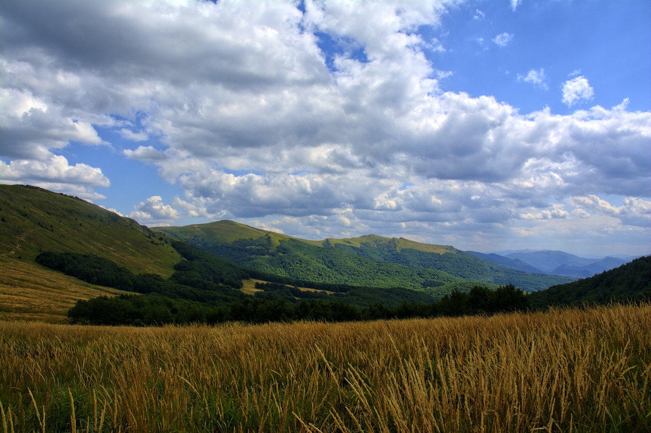 Bieszczady, Tarnica, Buko Berdo, Kalnai, Tyla, Lenkija, Dangus, Kraštovaizdis, Gamta, Vaizdas Iš Viršaus