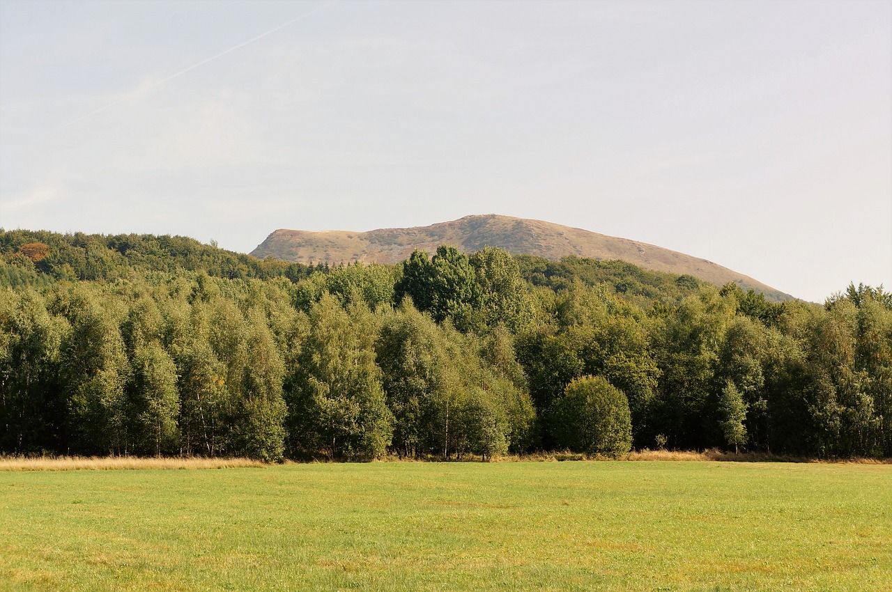 Bieszczady, Połonina, Kalnai, Kraštovaizdis, Miškas, Nemokamos Nuotraukos,  Nemokama Licenzija