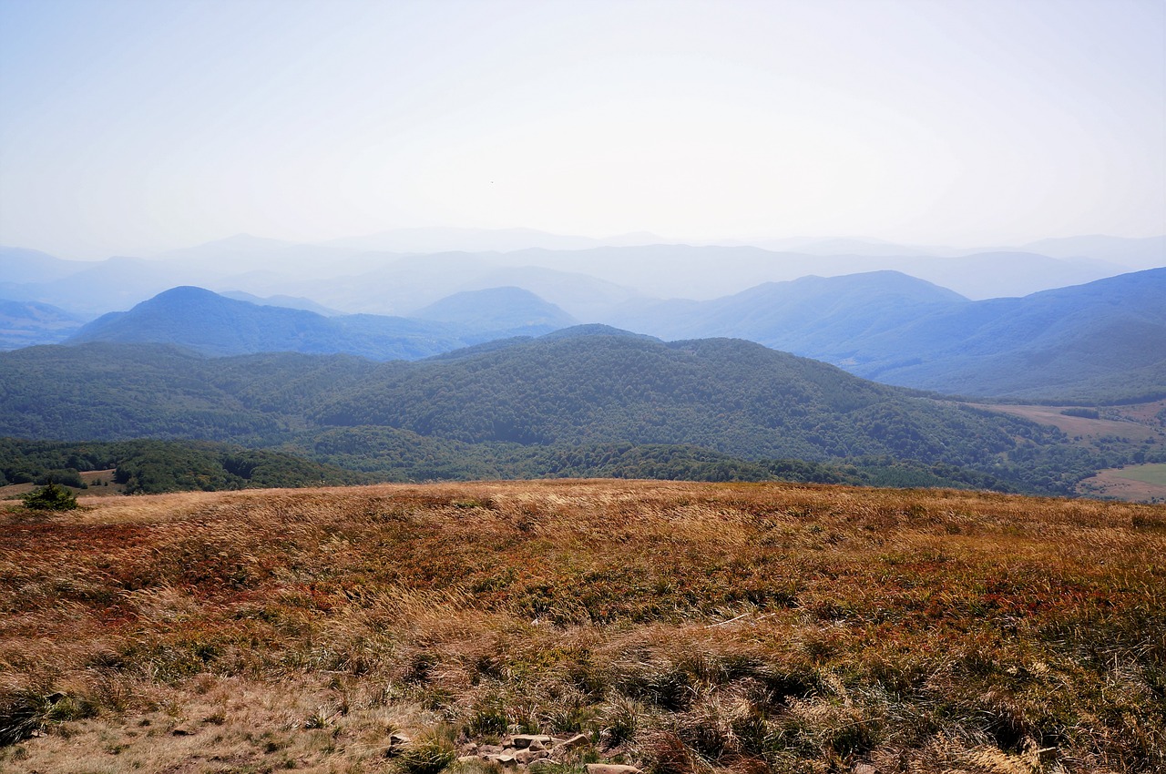 Bieszczady, Połonina, Kalnai, Kraštovaizdis, Ruduo, Nemokamos Nuotraukos,  Nemokama Licenzija