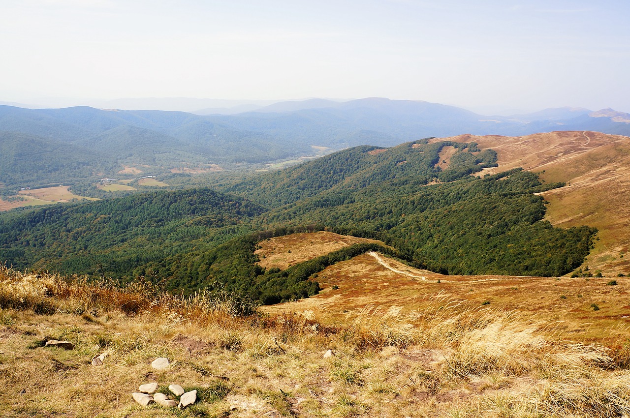 Bieszczady, Połonina, Kalnai, Kraštovaizdis, Ruduo, Nemokamos Nuotraukos,  Nemokama Licenzija