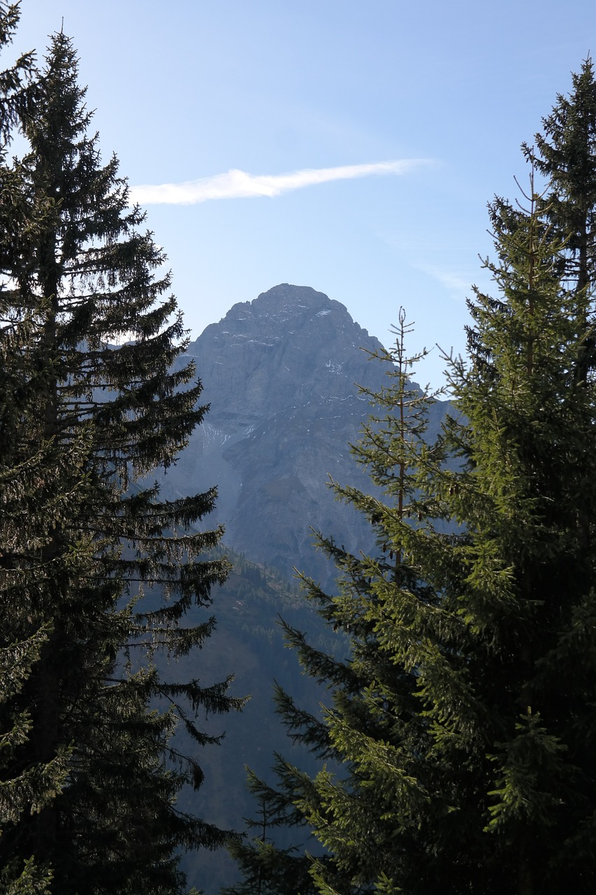 Didelis Aries Akmuo, Kalnas, Alpių, Aries Akmuo, Vorarlbergas, Allgäu Alpės, Walser Slėnio Kalnai, Medžiai, Eglės, Perspektyva
