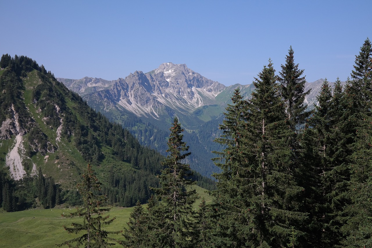 Dideli Nykščiai, Panorama, Alpių, Allgäu Alpės, Žygiai, Idilija, Perspektyva, Nemokamos Nuotraukos,  Nemokama Licenzija
