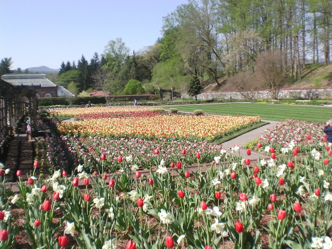 Biltmore, Sodai, Tulpės, Pavasaris, Gėlių, Augalai, Natūralus, Žiedas, Žydėti, Žiedlapiai