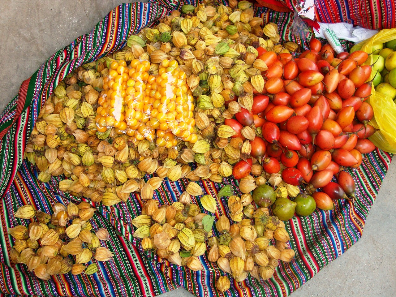 Biologinė Įvairovė, Cajamarca Peru, Nemokamos Nuotraukos,  Nemokama Licenzija