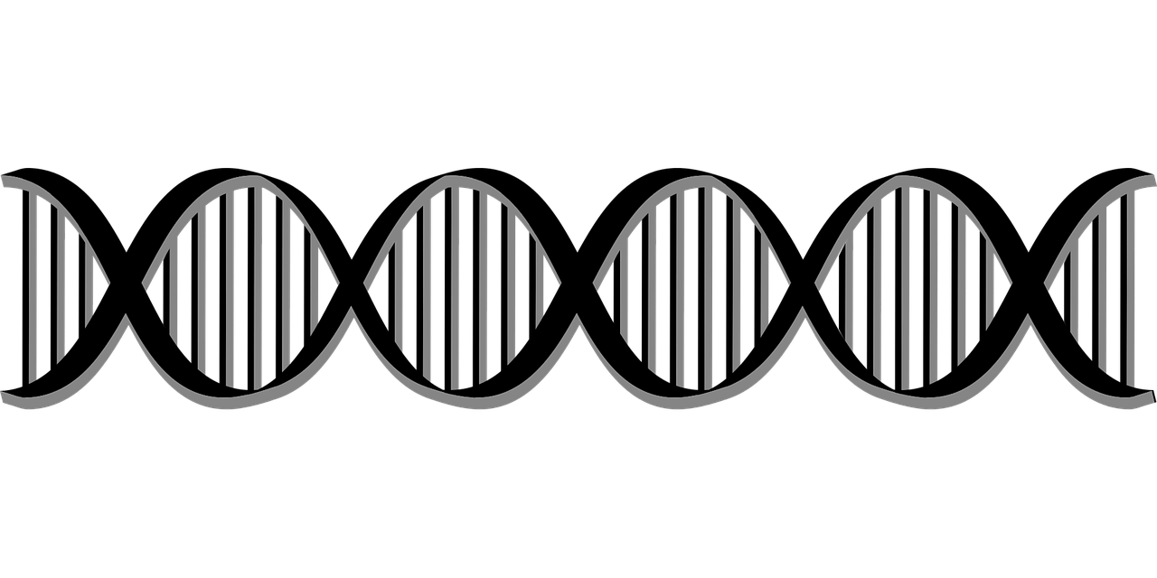 Biologija, Ląstelės, Ląstelinis, Kodas, Deoksiribonukleorūgštis, Dna, Genai, Genetinis, Sveikata, Spiralė