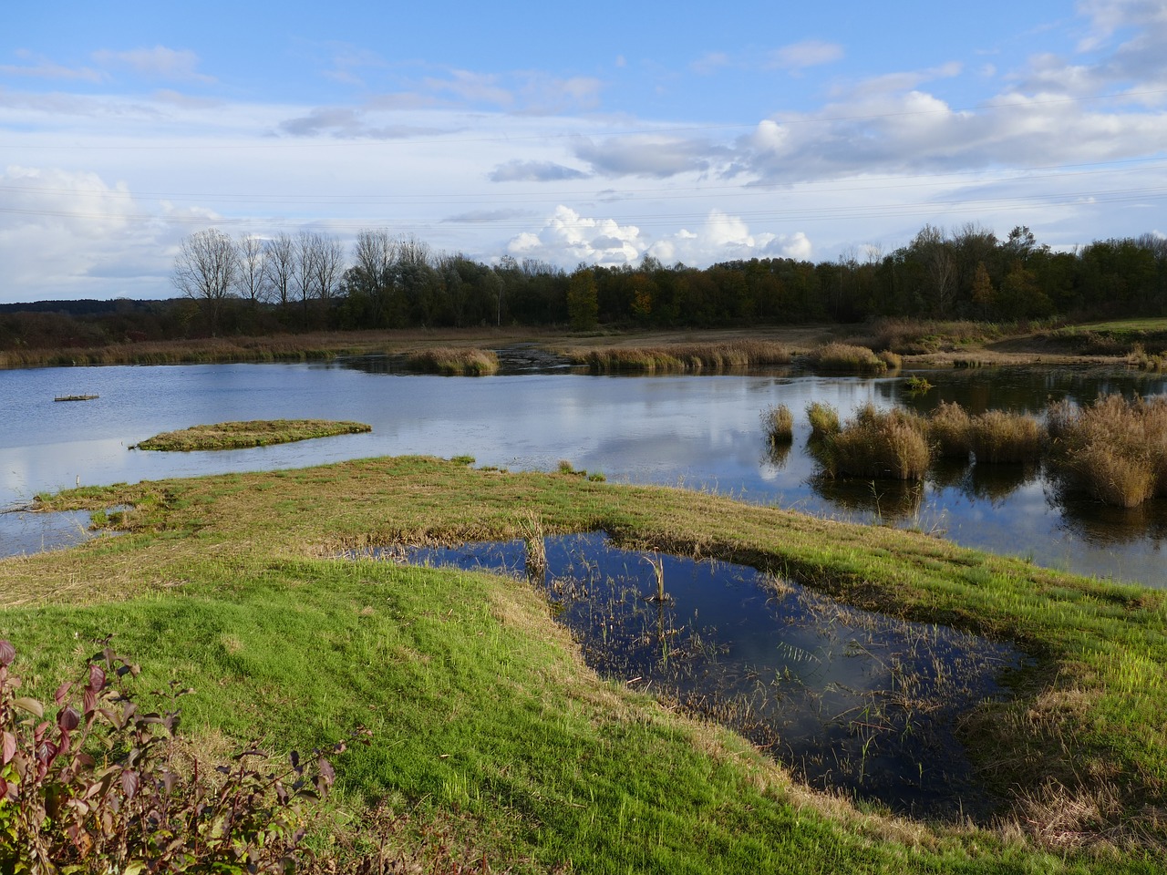 Biosfera, Gamtos Apsauga, Ekologinė Sistema, Kraštovaizdis, Buveinė, Aplinka, Ludwigo Laukas, Nemokamos Nuotraukos,  Nemokama Licenzija