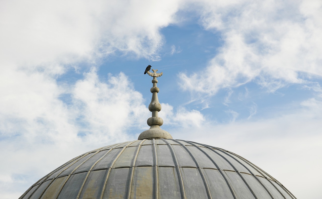 Paukštis, Kupolas, Mėlynas, Skristi, Dangus, Architektūra, Senas, Taika, Islamas, Istanbulas