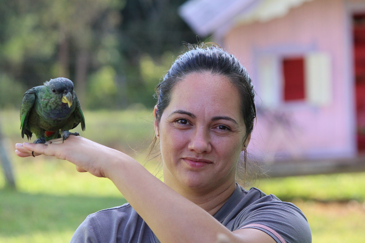 Paukštis, Papūga, Atogrąžų Paukščiai, Maritaka, Paukščiai, Laurynas, Gyvūnai, Paukštis, Aplinka, Brazilijos Fauna