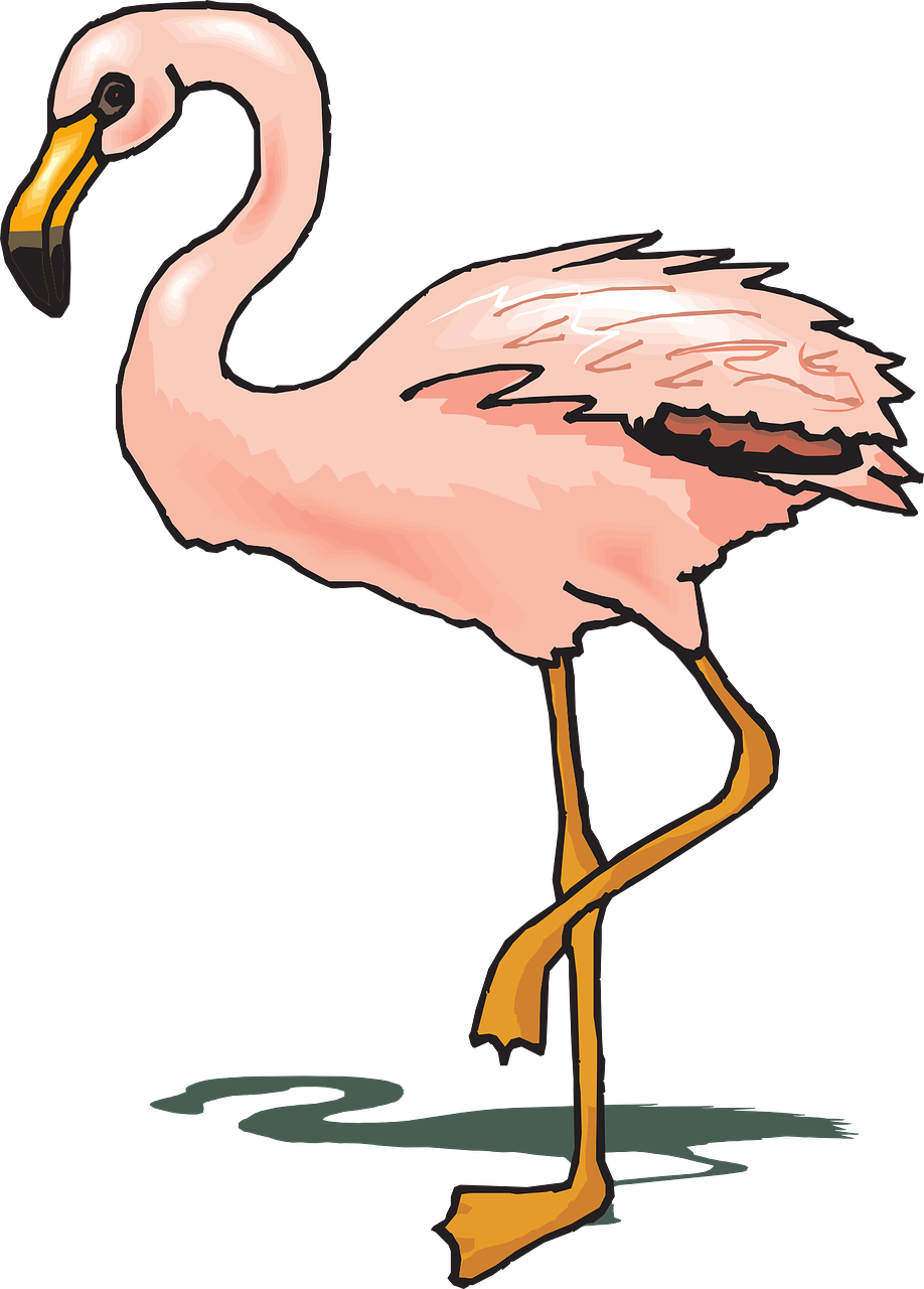 Paukštis, Flamingo, Šešėlis, Rožinis, Sparnai, Stovintis, Plunksnos, Egzotiškas, Fauna, Nemokama Vektorinė Grafika