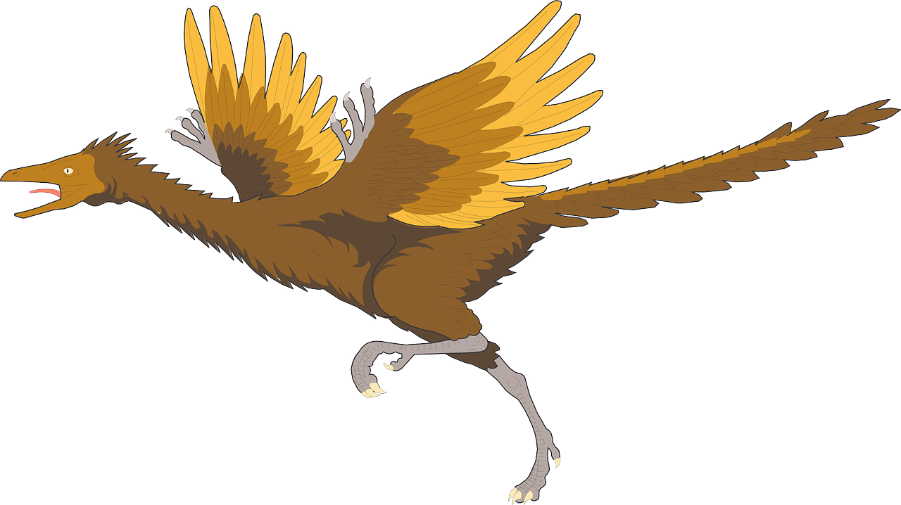 Paukštis, Bėgimas, Sparnai, Senovės, Archeopteryx, Plunksnos, Nemokama Vektorinė Grafika, Nemokamos Nuotraukos,  Nemokama Licenzija