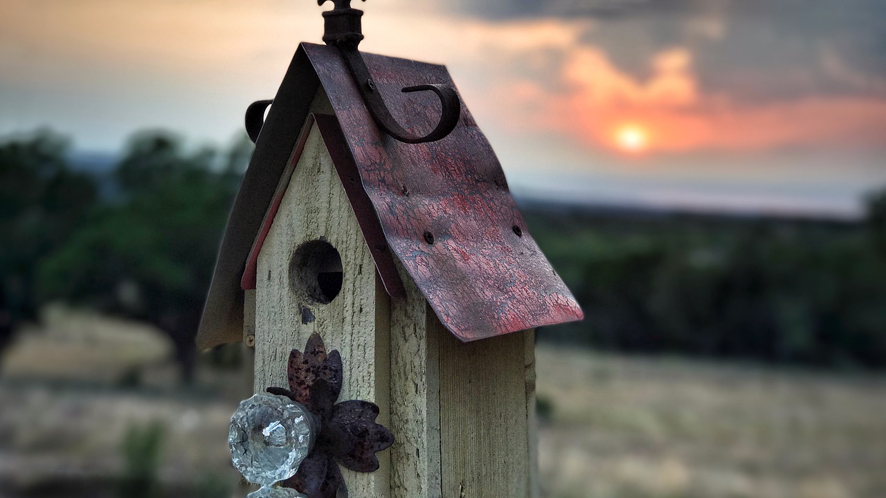 Paukščių Namai, Birdhouse, Gamta, Saulėlydis, Saulė, Paukštis, Barnswallow, Lizdas, Pavasaris, Namai