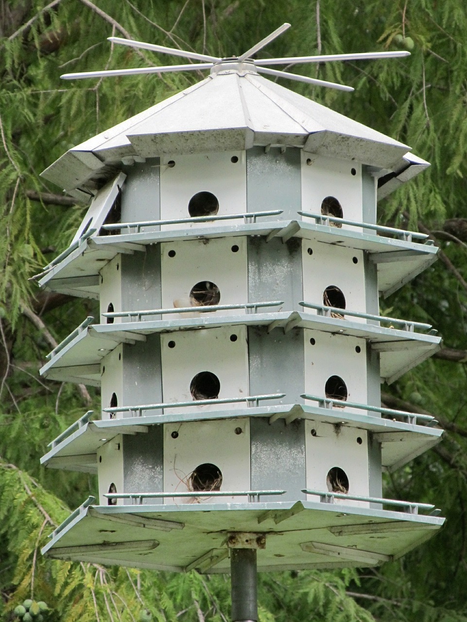 Paukščių Namai, Paukštis, Kondo, Viešbutis, Birdhouse, Medinis, Namas, Lizdas, Stogas, Lizdą