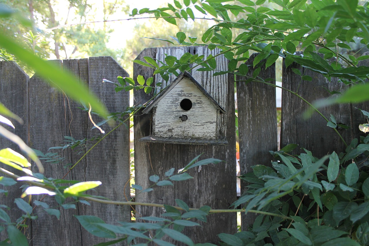 Paukščių Namai, Tvora, Sodas, Mediena, Kaimiškas, Gyvūnas, Namai, Medinis, Birdhouse, Lauke