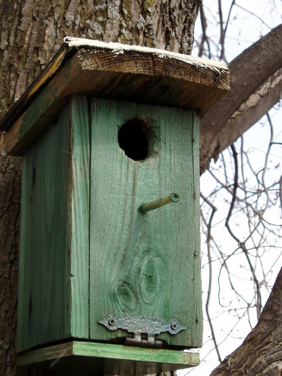 Birdhouse, Žalias, Paukštis, Sodas, Gamta, Namai, Šalis, Kaimas, Lauke, Kritimas