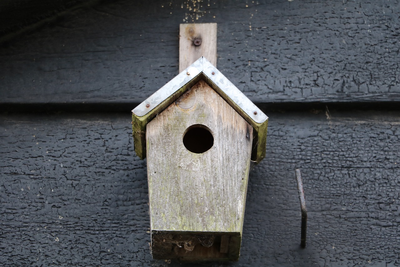 Birdhouse, Tvartas, Paukštis, Nemokamos Nuotraukos,  Nemokama Licenzija